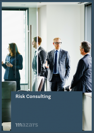 Plaquette Risk consulting