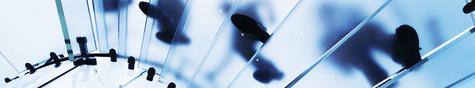 Corporate Transformation Program